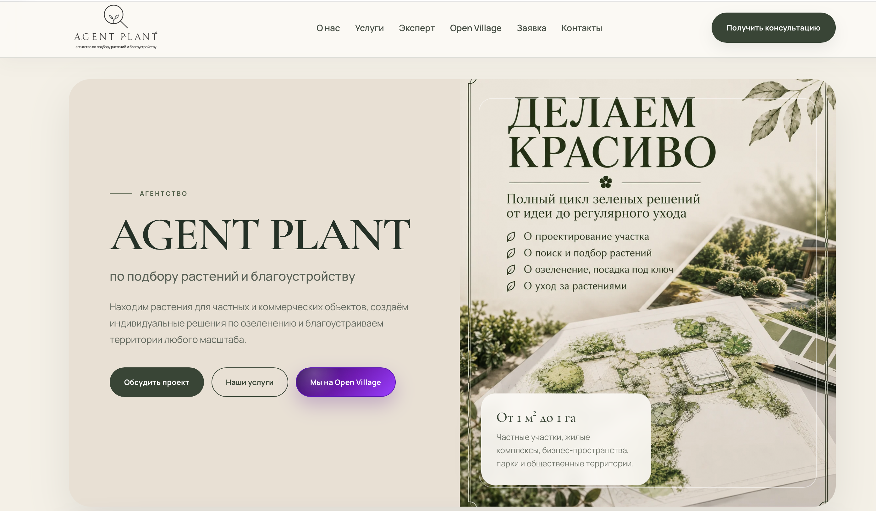 Agent Plant цветы